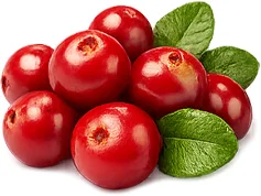 Cystiolla — arándano rojo (cranberry)