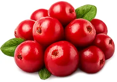 Cystiolla — arándano rojo (cranberry)