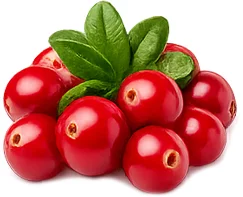 Cystiolla — arándano rojo (cranberry)